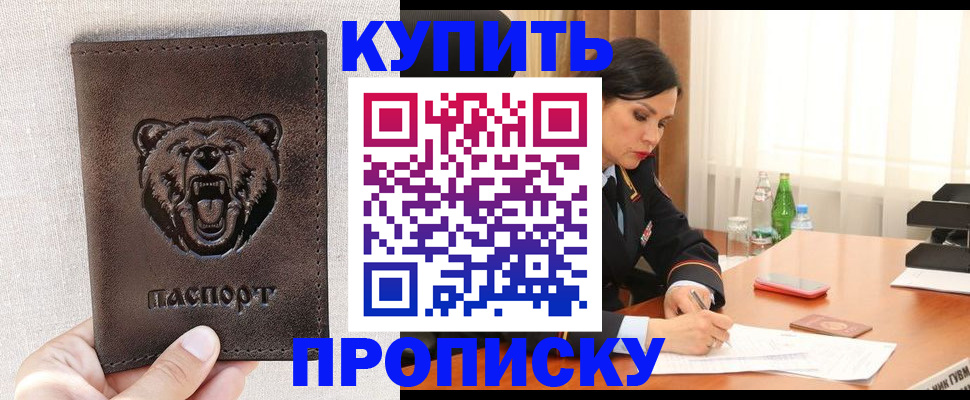 где прописаться в Шали